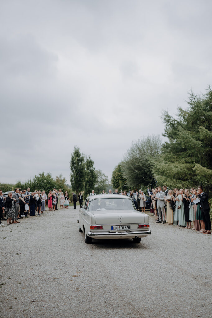 Hochzeitsgäste empfangen das Brautpaar