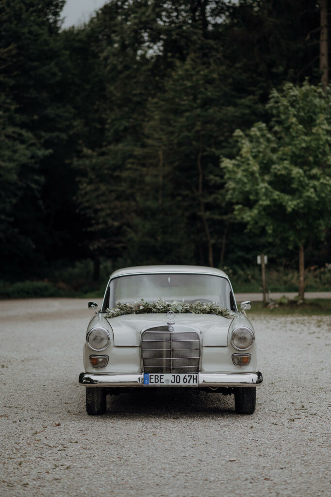 Aufnahmen des Brautpaars mit Freunden und Familie