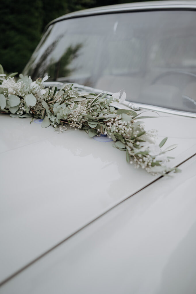 Aufnahmen des Brautpaars mit Freunden und Familie