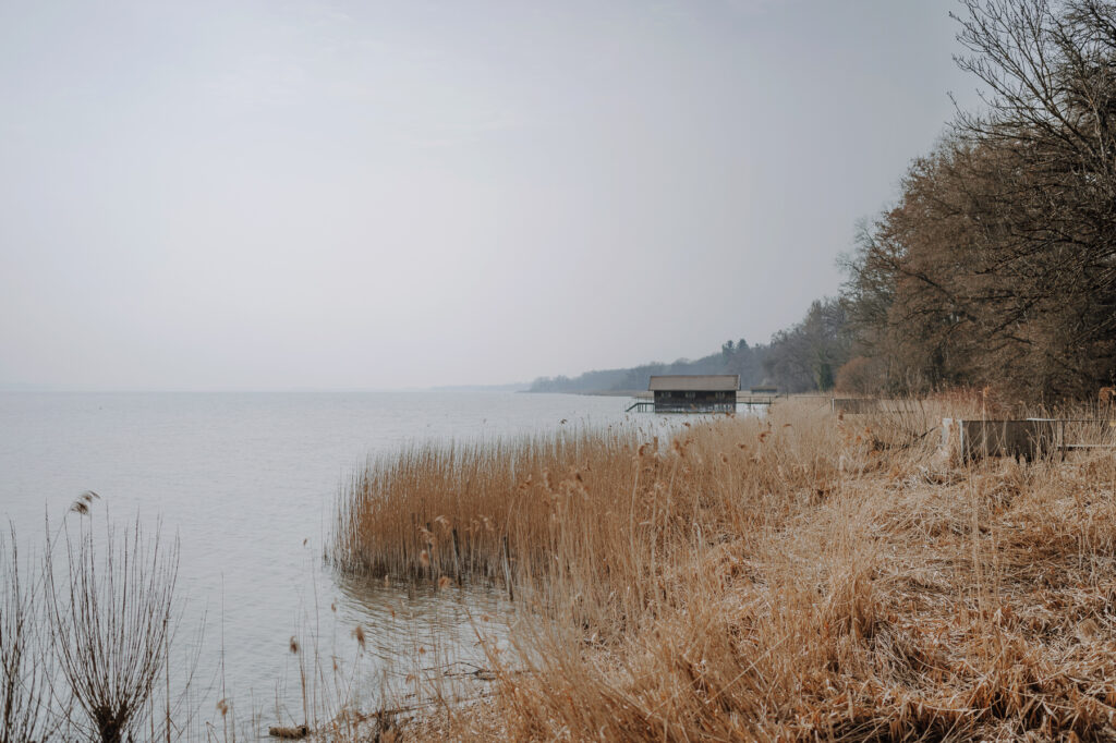 Paar beim spazieren gehen am Ammersee bei einem Babybauch Shooting.