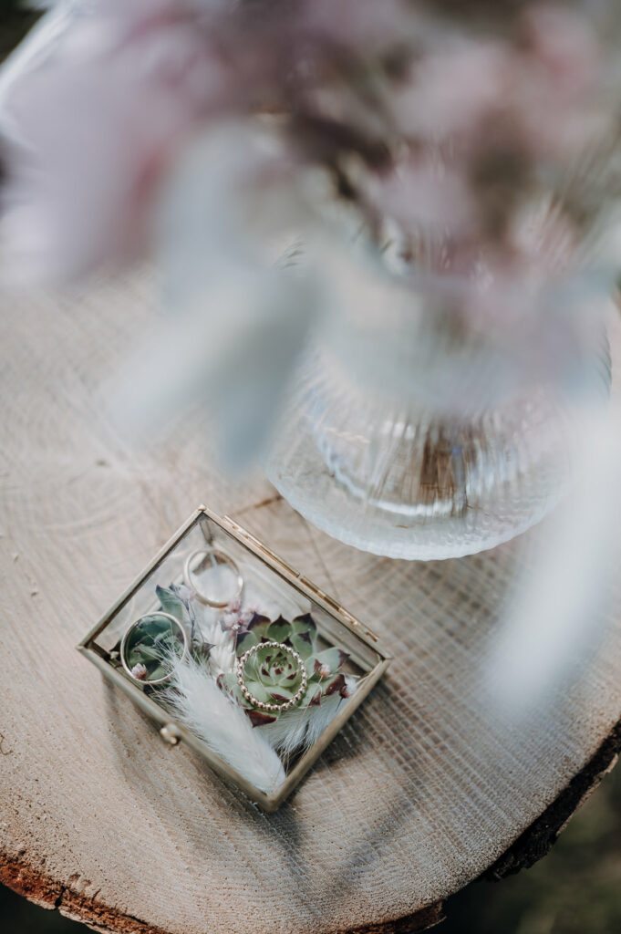 Reportageaufnahmen einer freien Trauung am See