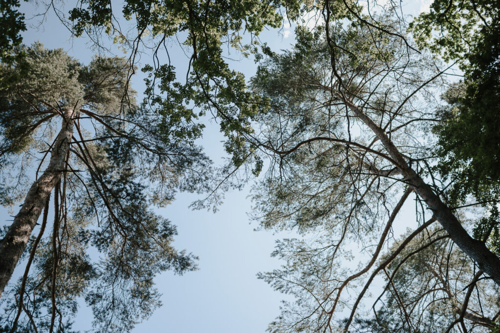 Eventlocation Birkenheide eine Hochzeitsreportag einer freien Trauung im Sommer.