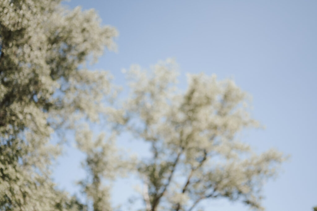Hochzeitsreportagedie Kaltmühle Eventlocation im Münchner Norden fotografiert von Nikki Lindner Fotografie